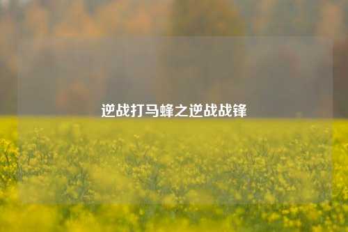 逆战打马蜂之逆战战锋