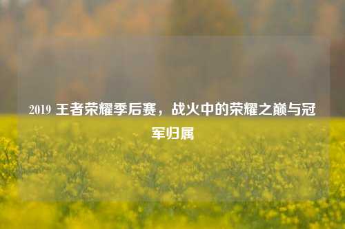 2019 王者荣耀季后赛,战火中的荣耀之巅与冠军归属