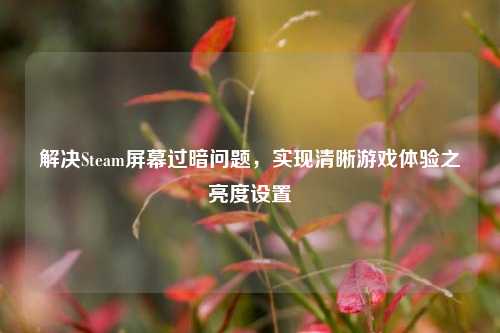 解决Steam屏幕过暗问题,实现清晰游戏体验之亮度设置