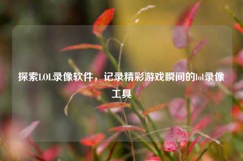 探索LOL录像软件,记录精彩游戏瞬间的lol录像工具