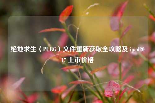 绝地求生(PUBG)文件重新获取全攻略及 ipad2017 上市价格
