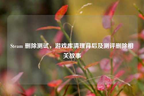 Steam 删除测试,游戏库清理背后及测评删除相关故事