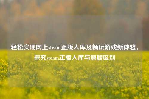 轻松实现网上steam正版入库及畅玩游戏新体验，探究steam正版入库与原版区别