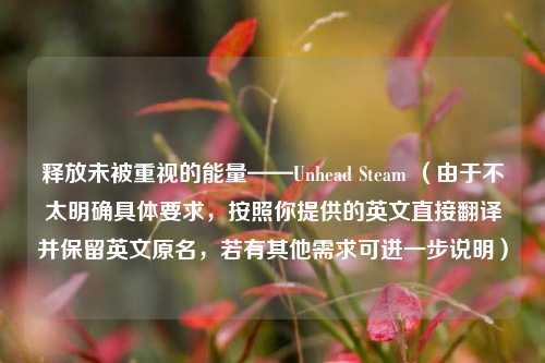 释放未被重视的能量——Unhead Steam （由于不太明确具体要求，按照你提供的英文直接翻译并保留英文原名，若有其他需求可进一步说明）