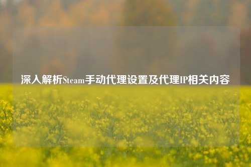 深入解析Steam手动代理设置及代理IP相关内容
