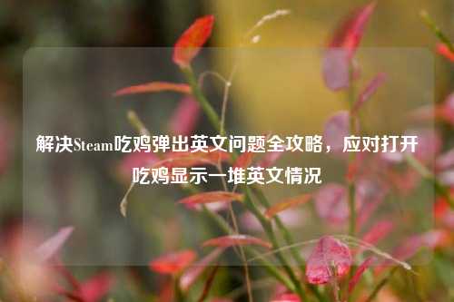 解决Steam吃鸡弹出英文问题全攻略,应对打开吃鸡显示一堆英文情况