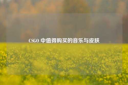 CSGO 中值得购买的音乐与皮肤
