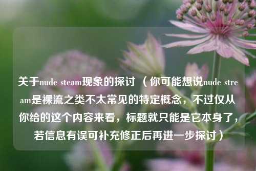 关于nude steam现象的探讨 (你可能想说nude stream是裸流之类不太常见的特定概念,不过仅从你给的这个内容来看,标题就只能是它本身了,若信息有误可补充修正后再进一步探讨)