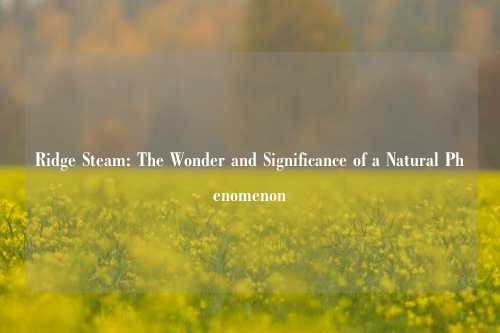 Ridge Steam: The Wonder and Significance of a Natural Phenomenon