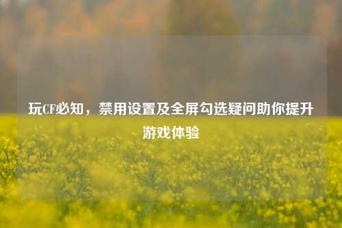 玩CF必知,禁用设置及全屏勾选疑问助你提升游戏体验
