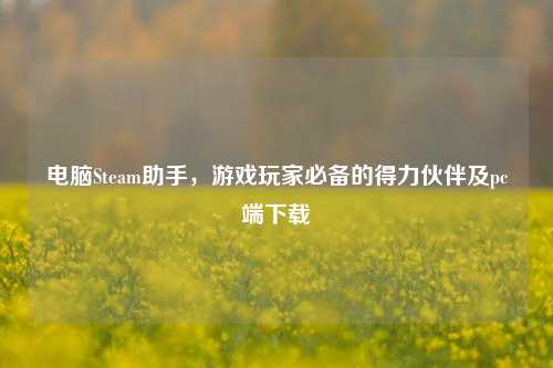 电脑Steam助手,游戏玩家必备的得力伙伴及pc端下载