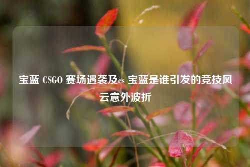 宝蓝 CSGO 赛场遇袭及cs 宝蓝是谁引发的竞技风云意外波折
