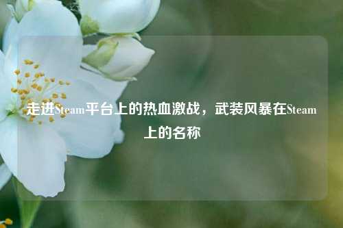 走进Steam平台上的热血激战,武装风暴在Steam上的名称