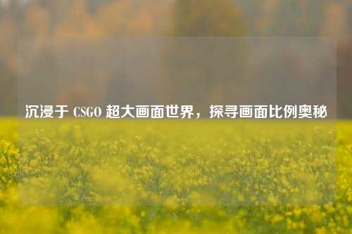 沉浸于 CSGO 超大画面世界，探寻画面比例奥秘