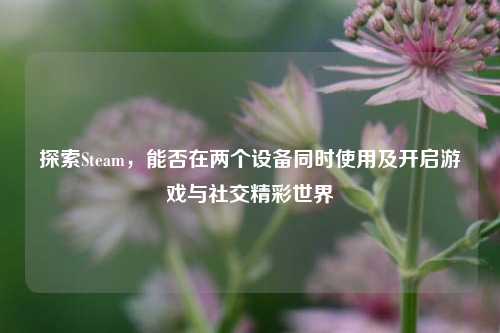 探索Steam,能否在两个设备同时使用及开启游戏与社交精彩世界