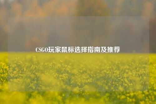 CSGO玩家鼠标选择指南及推荐