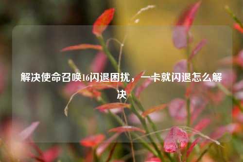解决使命召唤16闪退困扰,一卡就闪退怎么解决