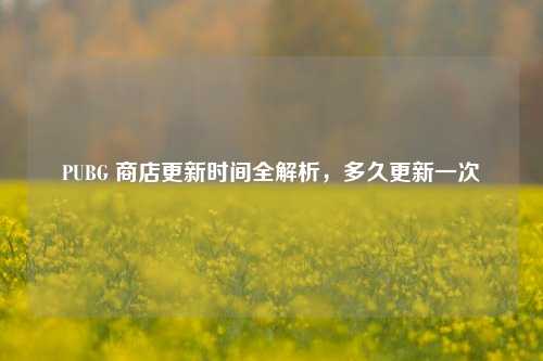 PUBG 商店更新时间全解析,多久更新一次