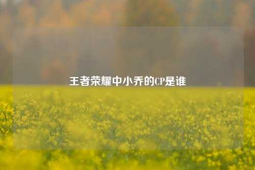 王者荣耀中小乔的CP是谁