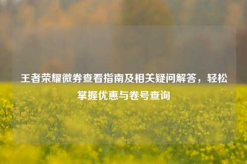 王者荣耀微券查看指南及相关疑问解答,轻松掌握优惠与卷号查询