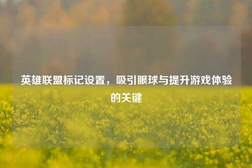 英雄联盟标记设置,吸引眼球与提升游戏体验的关键