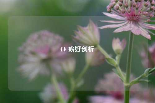 CF 癖好剖析