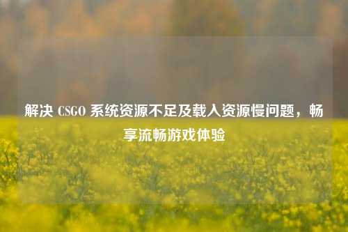 解决 CSGO 系统资源不足及载入资源慢问题,畅享流畅游戏体验