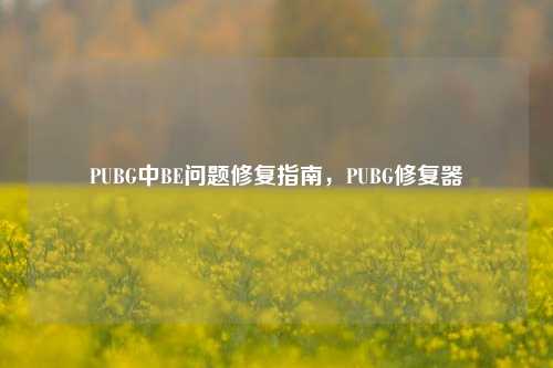 PUBG中BE问题修复指南,PUBG修复器