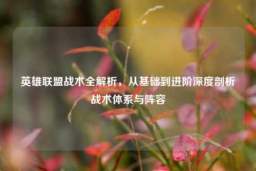 英雄联盟战术全解析,从基础到进阶深度剖析战术体系与阵容