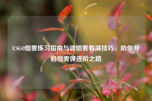 CSGO烟雾练习指南与调烟雾看清技巧，助你开启烟雾弹进阶之路