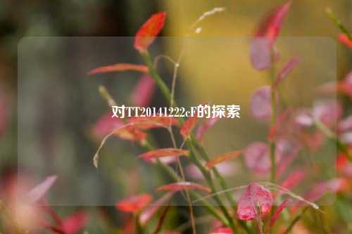 对TT20141222cF的探索