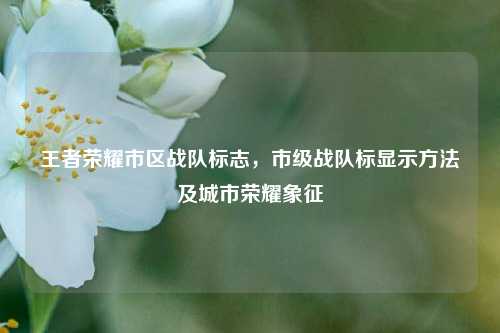 王者荣耀市区战队标志，市级战队标显示方法及城市荣耀象征