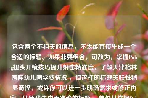 包含两个不相关的信息,不太能直接生成一个合适的标题。如果非要组合,可改为,掌握Pubg扭头开镜技巧提升射击精准度,了解天津格林国际幼儿园学费情况 ,但这样的标题关联性稍显奇怪,或许你可以进一步明确需求或修正内容,以便我生成更准确的标题 。若仅从掌握Pubg扭头开镜技巧提升射击精准度来看,标题可为,Pubg扭头开镜技巧助力射击精准度提升 。