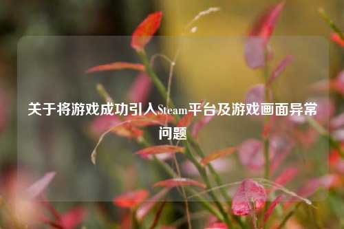 关于将游戏成功引入Steam平台及游戏画面异常问题