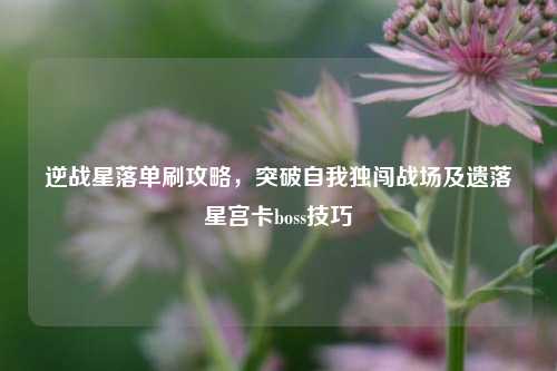 逆战星落单刷攻略,突破自我独闯战场及遗落星宫卡boss技巧