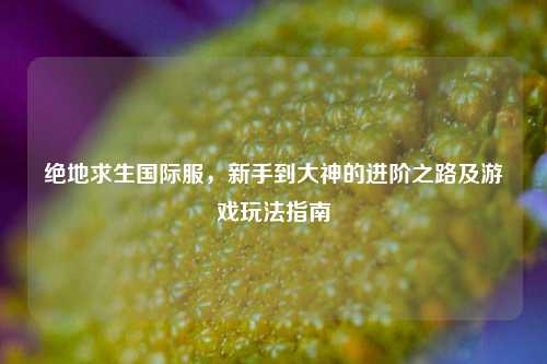 绝地求生国际服,新手到大神的进阶之路及游戏玩法指南