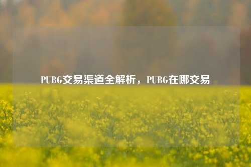PUBG交易渠道全解析,PUBG在哪交易