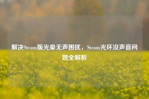 解决Steam版光晕无声困扰，Steam光环没声音问题全解析