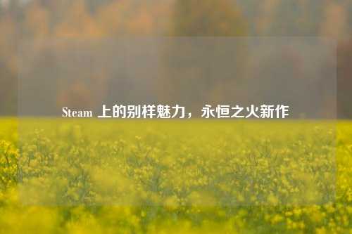 Steam 上的别样魅力,永恒之火新作