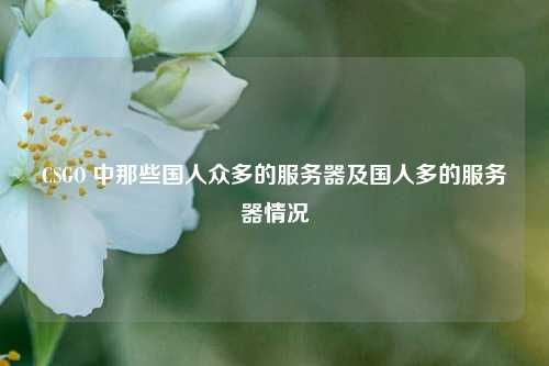 CSGO 中那些国人众多的服务器及国人多的服务器情况
