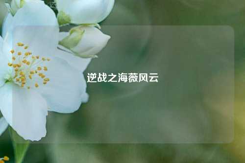 逆战之海薇风云