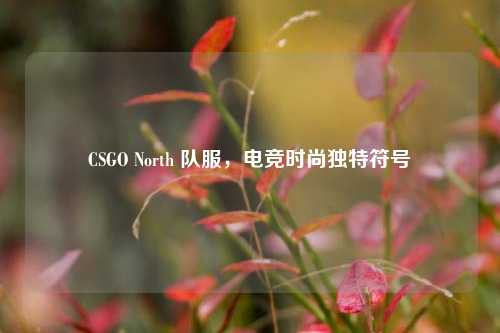 CSGO North 队服,电竞时尚独特符号