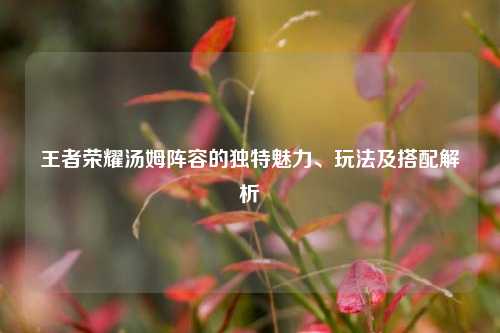 王者荣耀汤姆阵容的独特魅力、玩法及搭配解析