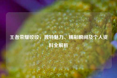 王者荣耀咬咬,独特魅力、精彩瞬间及个人资料全解析