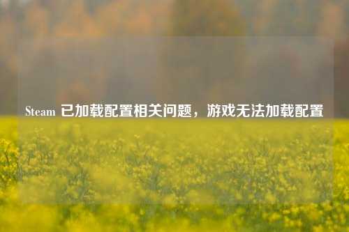 Steam 已加载配置相关问题，游戏无法加载配置