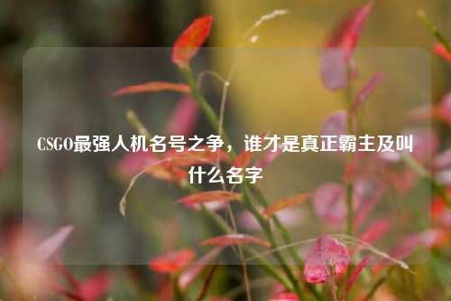 CSGO最强人机名号之争，谁才是真正霸主及叫什么名字