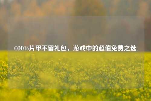 COD16片甲不留礼包,游戏中的超值免费之选