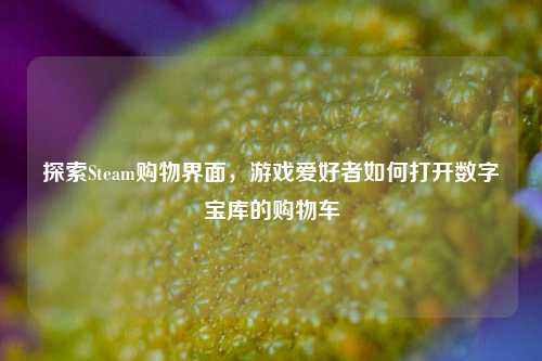 探索Steam购物界面,游戏爱好者如何打开数字宝库的购物车