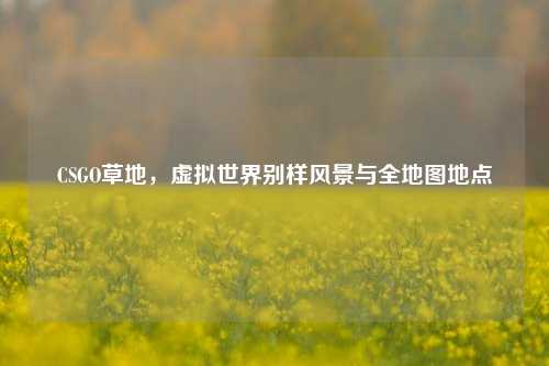 CSGO草地,虚拟世界别样风景与全地图地点