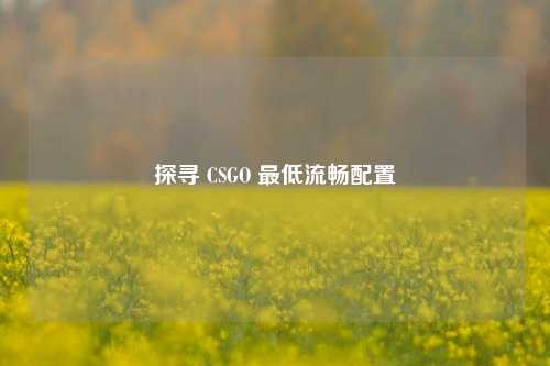 探寻 CSGO 最低流畅配置